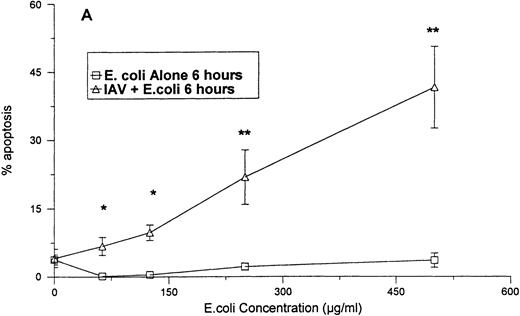 Fig. 4. Neutrophil apoptosis induced by E coli alone orE coli in combination with 40 μg/mL of IAV. The degree of apoptosis induced by E coli alone or E coli in combination with 40 μg/mL of IAV after 6 (A) or 24 (B) hours of incubation are shown. Results are expressed as percentage of cells with hypodyploid DNA and represent the mean ± SEM of three separate experiments. At 24 hours all concentrations of E coli alone caused significantly more apoptosis than control buffer (P ≤ .05). (*)Indicates where the combination of E coli and IAV caused significantly greater apoptosis than E coli alone. (**)Indicates where the combination of E coliand IAV caused significantly greater apoptosis than either E coli or IAV alone.