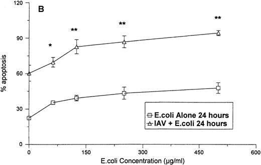 Fig. 4. Neutrophil apoptosis induced by E coli alone orE coli in combination with 40 μg/mL of IAV. The degree of apoptosis induced by E coli alone or E coli in combination with 40 μg/mL of IAV after 6 (A) or 24 (B) hours of incubation are shown. Results are expressed as percentage of cells with hypodyploid DNA and represent the mean ± SEM of three separate experiments. At 24 hours all concentrations of E coli alone caused significantly more apoptosis than control buffer (P ≤ .05). (*)Indicates where the combination of E coli and IAV caused significantly greater apoptosis than E coli alone. (**)Indicates where the combination of E coliand IAV caused significantly greater apoptosis than either E coli or IAV alone.