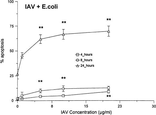 Fig. 5. Neutrophil apoptosis induced by various concentrations of IAV alone or IAV in combination with 250 μg/mL of E coli.Neutrophils were incubated for 1 hour at 37°C with the indicated concentrations of IAV alone (top panel) or IAV in combination with 250 μg/mL (or 1.2 × 109 particles/mL; or 240 bacteria/neutrophil) of E coli (bottom panel). (*)Indicates where IAV alone caused significantly greater apoptosis than control buffer. (**)Indicates where the combination of E coli and IAV caused significantly greater apoptosis than IAV or E colialone.