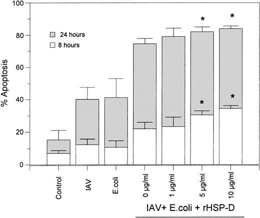 Fig. 7. rHSP-D–enhanced apoptosis caused by the combination of IAV and E coli. The indicated concentrations of rHSP-D were preincubated with the combination of IAV (40 μg/mL) and E coli (250 μg/mL) for 30 minutes at 37°C, followed by addition of these samples to neutrophils and assessment of apoptosis at 8 and 24 hours as described in Fig 2. Samples of E coli or IAV alone or the combination of E coli and IAV (without rHSP-D) were run in parallel. Data are given as mean ± SEM of three separate experiments. (*)Indicates where rHSP-D significantly (P < .05) enhanced apoptosis as compared with the combination of E coli and IAV.
