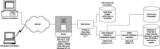 Fig. 1. Accessing the ASH Slide Bank CD-ROM from the web: a user running a web browser on an authorized workstation connected to the Internet makes a request for a page from the Slide Bank web interface (generally by clicking on a link to the interface’s home page). The requested page is actually a Cold Fusion “template” containing a mix of web-standard HyperText Markup Language codes (“tags”) interlaced with Cold Fusion tags directing the Cold Fusion “middleware” engine to perform various database operations. The web server receives the request, sees that the requested page is a CF template, and passes the request to the CF engine. CF strips the CF tags out of the template, performing database operations and substituting results in place of the tags as appropriate. After it finishes processing the template thusly, the page (HTML-only at this point) is passed back to the web server for return to the browser. Web server security is configured so that only workstations (on-campus or not) connected directly into the campus network are permitted access to the Slide Bank interface.