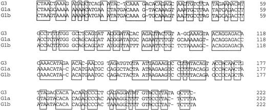 Fig. 2. Comparison of nucleotide sequences in genetic groups of TTV. Nucleotide sequences of 222 bp spanning 1959-2180 are shown. Primer sequences at both ends are excluded. Conserved nucleotides between the groups are boxed.