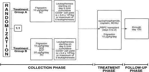 Fig. 1. Study schema.