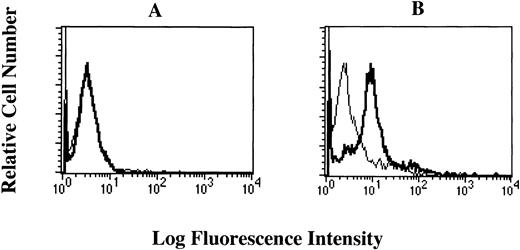 Fig. 6. Expression of the FcɛRI in normal human megakaryocytes. (A) The cell-surface expression of the FcɛRI chain in normal human megakaryocytes was analyzed by two-color flow cytometry. Cells were isolated from the bone marrow aspirate (as described in the text) and were incubated with PE-conjugated antihuman CD61 MoAb and the FITC-conjugated antihuman FcɛRI chain MoAb (CRA2) (solid line) and analyzed using the FACScan after gating on the polymorphonuclear cells that were CD61 positive (CD61+ PMN). FITC-conjugated mouse IgG1 was used as isotype-matched control antibody. (B) The intracytoplasmic expression of the FcɛRI chain in normal human megakaryocytes. Cells were first incubated with the PE-conjugated antihuman CD61 MoAb, treated with the permeabilization solution (Becton Dickinson) and then incubated with FITC-conjugated antihuman FcɛRI chain MoAb, and analyzed using the FACScan after gating on the CD61+ PMN. FITC-conjugated mouse IgG1 was used as isotype-matched control antibody (thin line).