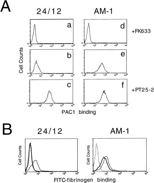 Fig. 1. Assessment of affinity state of IIbβ3 by PAC1 (A) and fibrinogen (B) binding. In (A), 24/12 cells (a through c) or AM-1 cells (d through f) were preincubated with 10 μmol/L FK633 (a and d), 10 μg/mL PT25-2 (c and f), or buffer (b and e) for 30 minutes on ice. Then, 250× diluted PAC1 ascites were added and incubated for another 30 minutes at room temperature. After washing, cells were incubated with FITC-conjugated antimouse IgM for 25 minutes on ice. To exclude dead cells, PI were added to the cells and incubated for 5 minutes. After washing, cells were resuspended in buffer and flow cytometric analysis was performed. In (B), cells were preincubated with 10 μmol/L FK633 (dotted lines), 10 μg/mL PT25-2 (solid lines), or buffer (bold lines) for 30 minutes on ice. Cells were then incubated with 150 μg/mL of FITC-labeled fibrinogen for 25 minutes at room temperature and then with PI for 5 minutes. After washing, flow cytometric analysis was performed.