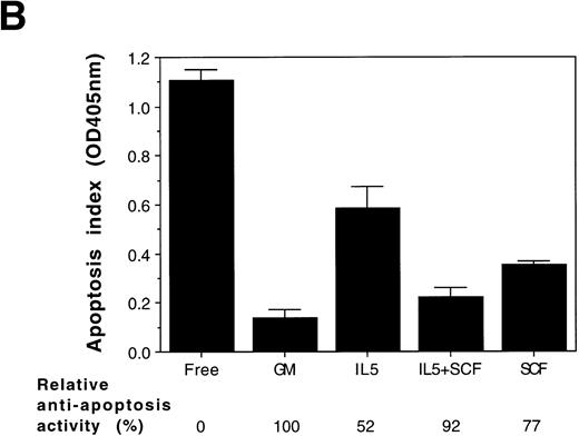 Fig. 3. Synergistic antiapoptotic activity of SCF and IL-5 in TF-1 cells. (A) DNA fragmentation assay. The genomic DNA was prepared from TF-1 cells treated with various combinations of cytokines as indicated in the figure and was subjected to agarose gel electrophoresis. The dose of cytokines used in these experiments was identical to those used in Fig 1. (B) Histone releasing assay. TF-1 cells were cultivated in the indicated cytokines and the released cytosolic contents were subjected to histone measurement according to the manufacturer’s instruction. Data shown are the averages of two independent duplicated experiments. The difference between the values in columns SCF and IL5 + SCF was statistically significant (P<< .001). The relative antiapoptotic activities for cells cultured in various conditions are referred to that of cells in cytokine-free medium (set as 0%) and in GM-CSF–containing medium (set as 100%) and are shown underneath the bar graph.