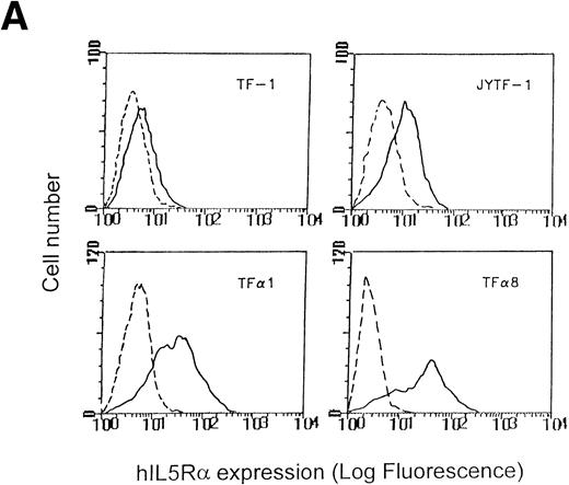 Fig. 4. Establishment of hIL5R overexpressing TF-1 cells. (A) Surface expression of hIL5R protein in TF-1, JYTF-1, and hIL5R transfectants TF1 and TF8 cells. The target cells were cultured in IL-5 for 24 hours and then subjected to flow cytometric analysis as described in Materials and Methods. The primary antibody was either a control mouse IgG (dashed line) or a mouse monoclonal anti-hIL5R antibody (solid line). The X-axis indicates the viable cell number and the Y-axis shows the fluorescence intensity. (B) Expression of the virus-derived IL5R mRNA in TF1 and TF8 cells. Total RNA was isolated from the indicated cell lines and 20 μg of RNA was analyzed by Northern blot hybridization. Probes used were cDNA-specific for the IL5R gene (upper panel) or for the glyceraldehyde-3–phosphate dehydrogenase (G3PDH) gene (lower panel), which were used as internal controls for the loading control. The positions of the endogenous full-length IL5R mRNA (IL5R) and the virus-encoded IL5R mRNA (v IL5R) are indicated at the right-hand side of the figure. (C) Distinct growth curve of TF-1, JYTF-1, TF1, and TF8 cells in IL-5. Cells were grown in the absence of cytokine (○) or in the presence of GM-CSF (□) or IL-5 (▵) at densities of 5 × 105 cells/mL and 1 × 105 cells/mL (GM-CSF and IL-5), respectively. Viable cell number was counted at 0 hours, 24 hours (day 1), and 48 hours (day 2) after seeding and was converted into the percentage of initial cell number (at day 0) as shown on the left-hand side of each plot. Each value is the average of four independent measurements.
