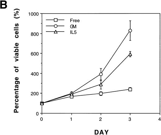 Fig. 7. Overexpression of Bcl-2 oncoprotein rescues the proliferation of TF-1 cells in IL-5. (A) Overexpression of Bcl-2 protein in TF/Bcl-2 cells. Two hundred and fifty micrograms of protein lysates from each indicated cell line were analyzed by Western blot for the expression of Bcl-2, Bax, and -tubulin proteins (indicated at the right-hand side of the figure). (B) The growth curves of TF/Bcl-2 cells in the indicated culture media. TF/Bcl-2 cells were grown in media as indicated and the viable cell numbers were determined at each time point by trypan blue staining. (C) TF/Bcl-2 and TF8 cells were refractory to SCF stimulation in IL-5–containing medium. TF-1, TF8, and TF/Bcl-2 cells were treated with IL-5 alone (□), SCF alone (▨), or IL-5 + SCF (▪) and the numbers of viable cells were determined by trypan blue staining at different time points. The dose of cytokines was the same as described in Fig 1. The results were the averages from three duplicated experiments. The error bars represent the standard deviations.