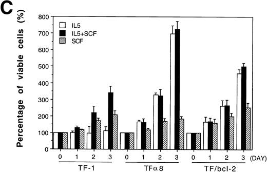 Fig. 7. Overexpression of Bcl-2 oncoprotein rescues the proliferation of TF-1 cells in IL-5. (A) Overexpression of Bcl-2 protein in TF/Bcl-2 cells. Two hundred and fifty micrograms of protein lysates from each indicated cell line were analyzed by Western blot for the expression of Bcl-2, Bax, and -tubulin proteins (indicated at the right-hand side of the figure). (B) The growth curves of TF/Bcl-2 cells in the indicated culture media. TF/Bcl-2 cells were grown in media as indicated and the viable cell numbers were determined at each time point by trypan blue staining. (C) TF/Bcl-2 and TF8 cells were refractory to SCF stimulation in IL-5–containing medium. TF-1, TF8, and TF/Bcl-2 cells were treated with IL-5 alone (□), SCF alone (▨), or IL-5 + SCF (▪) and the numbers of viable cells were determined by trypan blue staining at different time points. The dose of cytokines was the same as described in Fig 1. The results were the averages from three duplicated experiments. The error bars represent the standard deviations.