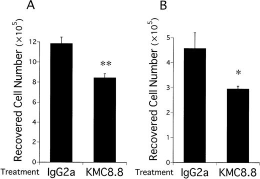 Fig. 1. Growth of multipotential hematopoietic cell lines on stromal cells is suppressed by ligation of CD9. EML-C1 cells (A) or Myl-D-7 cells (B) were added to 12-well plates (1 × 105cells/well) precoated with MS-5 cells and cocultured for 7 days in media containing 1 μg/mL KMC8.8 or isotype-matched antibody. 10 ng/mL SCF was also present in the EML-C1 cell cocultures. The cultures were harvested by treatment with EDTA plus trypsin and numbers of recovered cells were determined with a hemocytometer. Results represent means ± SD of triplicate cultures. Statistically significant differences from control values are indicated by one (P < .05) or two (P < .01) asterisks.