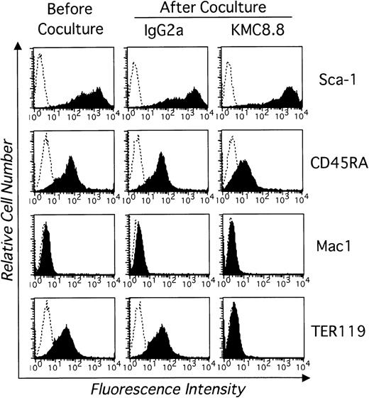 Fig. 2. Antibody ligation of CD9 in stromal cell cocultures blocks spontaneous differentiation of a multipotential stem cell line. EML-C1 cells were analyzed by flow cytometry before and after coculture for 7 days on MS-5 stromal cells along with 1 μg/mL KMC8.8 or an IgG2a isotype-matched control antibody. Cells were harvested and stained with PE-labeled Sca-1, PE-labeled CD45RA, PE-labeled TER119, FITC-labeled Mac1 (shaded histograms). Control staining obtained with isotype-matched antibody is also shown (open histograms). These are representative results from one of three similar experiments.