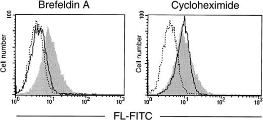 Fig. 6. Effect of brefeldin A and cycloheximide on expression of FL by cultured T lymphocytes. T lymphocytes, purified from PB of a healthy donor, were cultured for 72 hours in serum-free medium in the absence or presence of brefeldin A or cycloheximide (both at 10 μg/mL). Flow cytometric analysis of cell surface FL was performed with anti-FL MoAb M5 followed by FITC-labeled goat antirat IgG. (Shaded area) FL expression in untreated cells; (solid line) FL expression in brefeldin A- or cycloheximide-treated cells, as indicated; (broken line) control staining with FITC-labeled goat antirat IgG.
