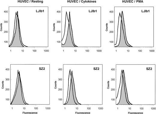 Fig. 1. Binding of MoAbs against GPIb, LJ1b1, and SZ2 to the suspensions of HUVECs. Resting HUVECs: After HUVEC detachment, 500 μL aliquots of 5 × 106 HUVECs/mL were incubated with 2 μg/mL LJ1b1 or SZ2 for 1 hour on ice (shaded peak). As a control, an aliquot of HUVECs was treated only with FITC-conjugated goat-antimouse antibody (open peak). Flow cytometry was conducted after washing with PBS as described in Materials and Methods. HUVECs stimulated with cytokines: HUVECs were treated with IFN-γ and TNF- before cell detachment as described by Konkle et al.6 After HUVEC detachment, the experimental procedure was the same as that described for the resting HUVECs. HUVECs stimulated with PMA: The binding of LJ1b1 and SZ2 to HUVECs was increased by pretreating HUVECs in culture with 20 ng/mL PMA for 24 hours. A maximal increase in binding was observed under these conditions, although the increase was more pronounced for LJ1b1 than for SZ2.