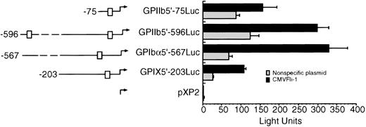 Fig. 3. Fli-1 transactivation of GPIX, GPIb, and GPIIb promoter constructs. The left side of the figure diagrams the luciferase reporter constructs used in Fli-1 transactivation assays. The □ identifies Ets sites. The exact locations of the Ets boxes are identified in the text. The transfection was performed as described in Materials and Methods and the legend to Fig 1. Error bars represent deviations between duplicate samples. Each plasmid was tested in at least three independent experiments, all with essentially with the same results.