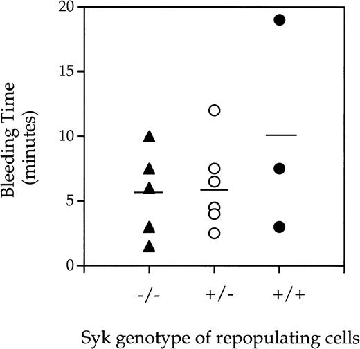 Fig. 2. Bleeding times generated fromSyk−/−, Syk+/−, andSyk+/+ mice. Radiation chimera mice repopulated with either (▴) Syk−/−, (○)Syk+/−, or (•) Syk+/+fetal liver cells were anesthetized and 6 minutes later had 0.5 cm from the tip of the tail removed with a scalpel blade. Blood was gently blotted onto surgical blotting paper every 30 seconds until cessation of bleeding. The mean and standard deviations obtained for the bleeding times were 5.6 ± 3.4 (forSyk−/−, where n = 5), 5.9 ± 3.1 (forSyk+/−, where n = 7), and 9.8 ± 8.2 (forSyk+/+, where n = 3).