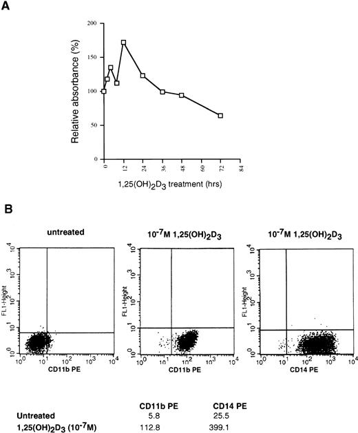 Fig. 1. Effects of 1,25(OH)2D3 on U937 cells. (A) Proliferation assay. Early log-phase growing U937 cells were treated with 1 × 10−7 mol/L 1,25(OH)2D3 or ethanol (no ligand control) for 0 to 72 hours. At the indicated timepoints, cells were harvested and incubated with MTS/PMS and absorbance at 490 nm determined, as described in Materials and Methods. All time points were assayed in triplicate and expressed as the percentage of inhibition relative to untreated controls. (B) Differentiation assay. 1,25(OH)2D3- or ethanol-treated cells were harvested after 72 hours and incubated with PE-conjugated CD11b or CD14 antibodies and analyzed for positive staining by FACS. Mean fluorescent intensities for each antibody are shown at the bottom of the graphs.