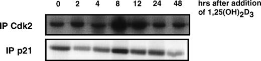 Fig. 3. 1,25(OH)2D3 induces an initial increase followed by a rapid decrease in Cdk2- and p21-associated kinase activities in U937 cells. (A) Cdk2- or (B) p21-containing complexes were immunoprecipitated from U937 lysates at the indicated times after 1,25(OH)2D3 exposure using anti-Cdk2 or p21 antibodies, and subsequent kinase reactions were performed using GST-RB as a substrate.