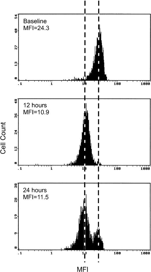 Fig. 2. A representative flow cytometric measurement of L-selectin in a dexamethasone-treated rabbit. The curve was shifted to left by dexamethasone at 12 hours after treatment. At 24 hours after treatment, two distinct populations of cells are seen. One population shows lower levels of L-selectin expression similar to the expression at 12 hours after treatment (left) and the another shows higher levels of L-selectin expression similar to the expression of baseline (right).