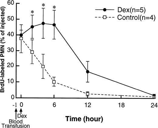 Fig. 3. The clearance of transferred BrdU-labeled PMN from the circulation of recipients. The fractions of the transfused BrdU-labeled PMN 1 hour after blood transfusion were similar in both dexamethasone-treated and control rabbits. In controls, BrdU-labeled PMN in the circulation gradually decreased and almost disappeared by 24 hours after treatment. In dexamethasone-treated rabbits, BrdU-labeled PMN first increased after treatment and then decreased and disappeared by 24 hours after treatment. *P < .05 compared with control; Dex, dexamethasone.