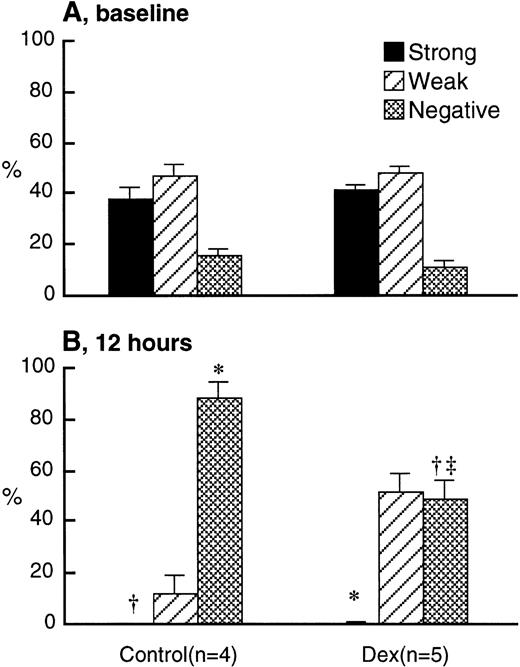 Fig. 5. L-selectin expression on BrdU-labeled PMN transferred from the donors into the circulation of recipients after IV injection of either 2.0 mg/kg dexamethasone (n = 5) or saline (n = 4) at baseline (A) and 12 hours after treatment (B) using the immunocytochemical grading system (see Materials and Methods). Values are expressed as the means ± SEM. At baseline, L-selectin expression was similar in both groups. Twelve hours after treatment, there was a significant decrease in the L-selectin expression in both groups. However, this decrease was larger in the controls than the dexamethasone-treated rabbits. *P < .01 compared with baseline; †P < .05 compared with baseline; ‡P < .01 compared with control; Dex, dexamethasone.
