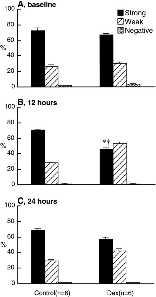 Fig. 7. L-selectin expression on BrdU-labeled PMN in the circulation at baseline (A), at 12 hours (B), and at 24 hours (C) after IV injection of either 2.0 mg/kg dexamethasone (n = 6) or saline (n = 6) using the immunocytochemical grading system (see Materials and Methods). Values are expressed as the means ± SEM. The percentage of BrdU-labeled PMN with strong expression of L-selectin was low at 12 and 24 hours after dexamethasone treatment, with no change in the controls. *P < .01 compared with baseline; †P < .01 compared with control; Dex, dexamethasone.