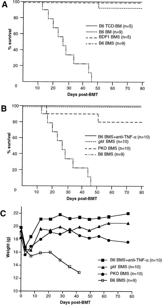 Fig. 1. Mortality and body weight during acute GVHD after allo-BMT. (A) Lethal GVHD was induced by transfer of B6 BM cells plus 2.5 × 107 spleen cells (B6 BMS) into lethally irradiated BDF1 mice. Recipients of B6 BM cells (B6 BM), B6 T-cell–depleted BM cells (B6 TCD-BM), or syngeneic BDF1 BM cells plus spleen cells (BDF1 BMS) manifested no signs of GVHD and almost all recipients survived more than 80 days, except for 1 recipient of B6 BM. (B and C) Contribution of TNF--, FasL-, and perforin-mediated cytotoxic pathways to lethal acute GVHD. Lethally irradiated BDF1 mice were transplanted with BM cells plus 2.5 × 107 spleen cells from wild-type B6 (B6 BMS), B6-gld (gld BMS), or perforin-deficient (PKO BMS) mice. In another group, B6 BMS recipients were administered with anti–TNF- MoAb (B6 BMS + anti–TNF-). Mortality (B) and body weight (C) were monitored at the indicated days after BMT. Administration of anti–TNF- MoAb to the B6 BMS almost completely ameliorated the mortality and the body weight loss resulted from acute GVHD. Survival of the gld BMS and PKO BMS recipients was 100% and 80%, respectively, on day 80 after BMT. The data represent the results of three similar experiments.