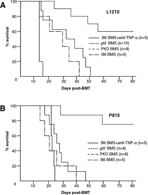Fig. 5. Contribution of TNF-–, FasL-, or perforin-mediated cytotoxicity to the GVL effect. GVL effect was evaluated in BDF1 mice that were inoculated IV with 1 × 104 L1210 or 1 × 105 P815 cells 2 days before the BMT as described in Fig1B. (A) Administration of anti–TNF- MoAb to the recipients of B6 BMS resulted in early death within 16 days. Six of 10 gld BMS recipients survived more than 80 days, whereas all B6 BMS or PKO BMS recipients died within 51 days. (B) Similar results were also observed by using another tumor P815 cells. Administration of anti–TNF- MoAb resulted in early death within 24 days. Six of 8 gld BMS recipients survived more than 80 days, whereas all B6 BMS or PKO BMS recipients died within 47 days. Data represent the results of three similar experiments.
