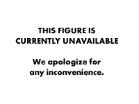 Fig. 3. SCL specifies hemangioblast development from early zebrafish mesoderm. Appearance of uninjected zebrafish embryos (a) and embryos injected with SCL mRNA at the 2-4 cell stage (b). SCL injected embryos developed a marked excess of hemoglobinized blood cells (arrowhead), a striking absence of blood circulation despite a beating heart and an abnormally curved axis. In situ hybridization experiments with SCL alone (c) or SCL and Flk-1 (d) showed a marked increase in cells coexpressing both endogenous SCL and Flk-1 in SCL-injected embryos. This increase was often unilateral (as illustrated in this figure), because the injected mRNA was frequently localized to one half of an embryo. NT, neural tube; NC, notochord; SM, somitic mesoderm; LM, lateral mesoderm. (Reprinted from Gering M, Rodaway ARF, Göttgens B, Patient RK, Green AR: The SCL gene specifies haemangioblast development from early mesoderm. The EMBO Journal, vol 17, p 4029, 1998, by permission of Oxford University Press.122)