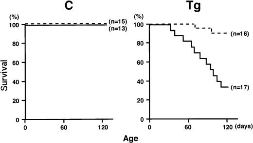 Fig. 2. Survival curves of transgenic mice (Tg, right) and nontransgenic controls (C, left) that are kept under a conventional condition (solid lines) or in a clean isolator (dotted lines). The life span is presented by the Kaplan-Meier method.
