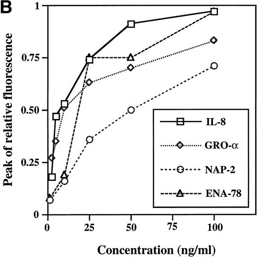 Fig. 1. Calcium mobilization by IL-8, GRO, NAP-2, and ENA-78 in HMC-1 cells. (A) Kinetics: agonists were added at the time indicated by the arrows. The identity and concentration are indicated to the right of each arrow. (B) Concentration dependence: calcium mobilization was measured in the cells stimulated as indicated. The amplitude of the peak change in fluorescence is shown as a function of the chemokine concentration. Results from one cell experiment are shown. Similar results were obtained in three independent experiments.