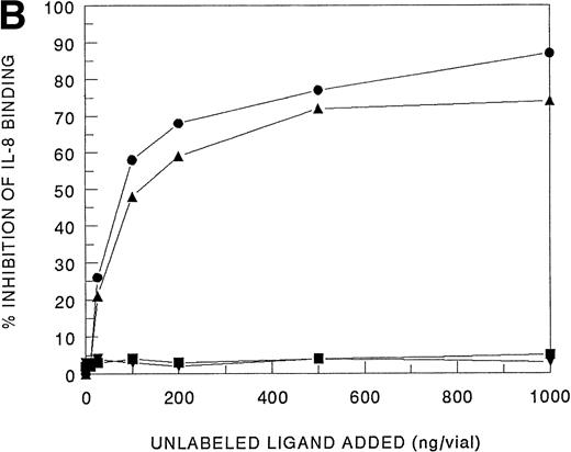 Fig. 4. Analysis of 125I-IL-8 binding to HMC-1 cells. (A) A representative equilibrium-binding analysis is shown, and Scatchard plot transformation of the binding data is presented in the insert. (B) Concentration-dependent displacement of125I-IL-8 binding to HMC-1 cells by IL-8 (•), GRO (▴), IP-10 (▪), and MIG (▾). HMC-1 cells (5 × 105 cells in each tube) were incubated with125I-IL-8 (0.2 nmol/L) in the presence or absence of increasing concentrations of unlabeled ligand for 60 minutes at 4°C.