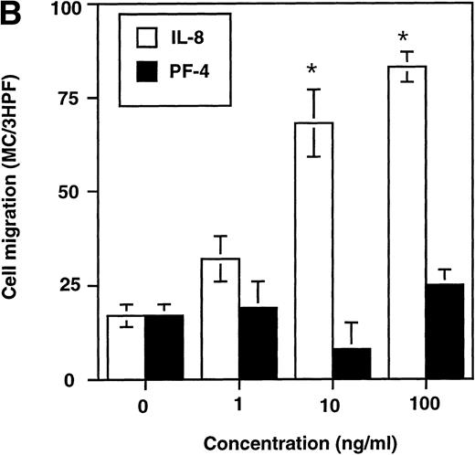 Fig. 5. Chemotactic effect of IL-8 on HMC-1 cells (A) and in vitro cultured human mast cells (B). Cells were exposed to various concentrations of IL-8, GRO, or PF-4, as indicated for 4 hours. The results are expressed as the number of countable cells per 3HPF (mean ± SEM) (n ≥ 5). *P < .05, **P < .01.