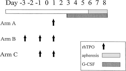 Fig. 1. Mobilization schema.