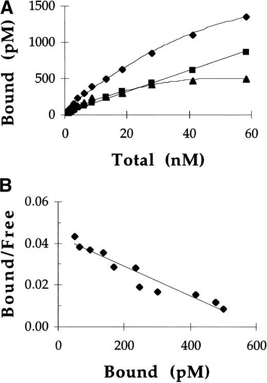 Fig. 2. Direct binding of pGCR to mannose receptors on rat alveolar macrophages. (A) Increasing concentrations of125I-labeled pGCR were incubated with rat alveolar macrophages at 4°C in the presence (▪) or absence (⧫) of yeast mannan as described in Materials and Methods. Based on these data, specific binding (▴) of pGCR to mannose receptors was calculated. (B) Scatchard analysis of the specific binding data provided a straight line indicative of a single class of binding sites. In this experiment, Scatchard analysis indicated the Kd for the binding of pGCR to the mannose receptor was 14 nmol/L and the number of binding sites per cell was 2.5 × 104.