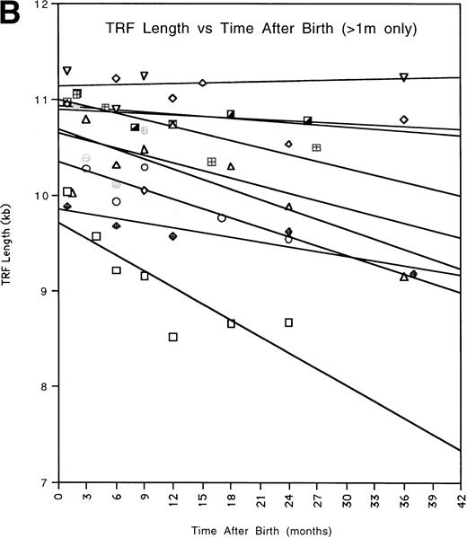 Fig. 2. (A) All of the TRF measurements as a function of time for all of the pediatric patients is shown. (B) TRF measurements as a function of time plotted for the pediatric patients are shown. TRF measurements obtained at times <1 month after birth are omitted from this figure because some patients showed increases in TRF length in the immediate postnatal period. Least squares linear regression lines are plotted for each of the patients. Symbols for (A) and (B): (□), patient 1; (◊), patient 2; (○), patient 3; (▵), patient 4; (⊞), patient 5; (▨), patient 6; (⊕), patient 7; (▿), patient 8; (┌), patient 9. (C) TRF lengths for the nine pediatric patients were predicted from the equations of the lines of (B) and plotted for the 1-month and 36-month time points. (D) TRF lengths as a function of age were plotted for two uninfected adult patients. (E) TRF lengths as a function of age were plotted for all of the points obtained from our two adult patients and for the TRF length obtained at the oldest available age for each of our pediatric patients.