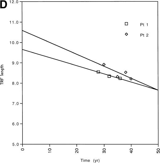 Fig. 2. (A) All of the TRF measurements as a function of time for all of the pediatric patients is shown. (B) TRF measurements as a function of time plotted for the pediatric patients are shown. TRF measurements obtained at times <1 month after birth are omitted from this figure because some patients showed increases in TRF length in the immediate postnatal period. Least squares linear regression lines are plotted for each of the patients. Symbols for (A) and (B): (□), patient 1; (◊), patient 2; (○), patient 3; (▵), patient 4; (⊞), patient 5; (▨), patient 6; (⊕), patient 7; (▿), patient 8; (┌), patient 9. (C) TRF lengths for the nine pediatric patients were predicted from the equations of the lines of (B) and plotted for the 1-month and 36-month time points. (D) TRF lengths as a function of age were plotted for two uninfected adult patients. (E) TRF lengths as a function of age were plotted for all of the points obtained from our two adult patients and for the TRF length obtained at the oldest available age for each of our pediatric patients.