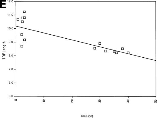 Fig. 2. (A) All of the TRF measurements as a function of time for all of the pediatric patients is shown. (B) TRF measurements as a function of time plotted for the pediatric patients are shown. TRF measurements obtained at times <1 month after birth are omitted from this figure because some patients showed increases in TRF length in the immediate postnatal period. Least squares linear regression lines are plotted for each of the patients. Symbols for (A) and (B): (□), patient 1; (◊), patient 2; (○), patient 3; (▵), patient 4; (⊞), patient 5; (▨), patient 6; (⊕), patient 7; (▿), patient 8; (┌), patient 9. (C) TRF lengths for the nine pediatric patients were predicted from the equations of the lines of (B) and plotted for the 1-month and 36-month time points. (D) TRF lengths as a function of age were plotted for two uninfected adult patients. (E) TRF lengths as a function of age were plotted for all of the points obtained from our two adult patients and for the TRF length obtained at the oldest available age for each of our pediatric patients.