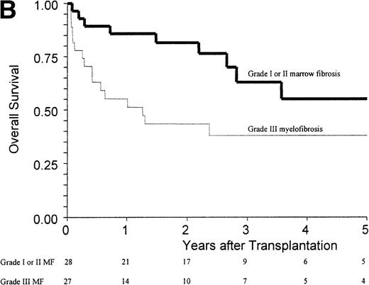 Fig. 1. (A) Kaplan-Meier estimates of the probability of survival in 55 patients who received an allogeneic stem cell transplant for AMM. The 5-year probability of overall survival was 47% for the overall group, 54% for patients receiving an unmanipulated HLA matched related transplant, and 26% for those receiving a T-cell–depleted graft or a graft coming from an alternative donor (P = .18). (B) Outcome according to the severity of myelofibrosis (MF) before transplant. The 5-year probability of survival was 55% if there was grade I or II marrow fibrosis, and 38% if there was grade III marrow fibrosis (osteomyelosclerosis) (P = .027). (C) Outcome according to the score proposed by Dupriez et al before transplant. The 5-year probability of survival was 83% for the patients in the low-risk group, 43% for the patients in the intermediate-risk group, and 31% for the patients in the high-risk group (P = .018). (D) Outcome according to the hemoglobin level at transplant and the requirement of RBC transfusions before transplant. The 5-year probability of survival was 76% for patients with hemoglobin level >100 g/L or with hemoglobin level ≤100 g/L and no RBC transfusion before transplant, and 23% for patients with hemoglobin level ≤100 g/L receiving pretransplant RBC transfusions (P < .0001).