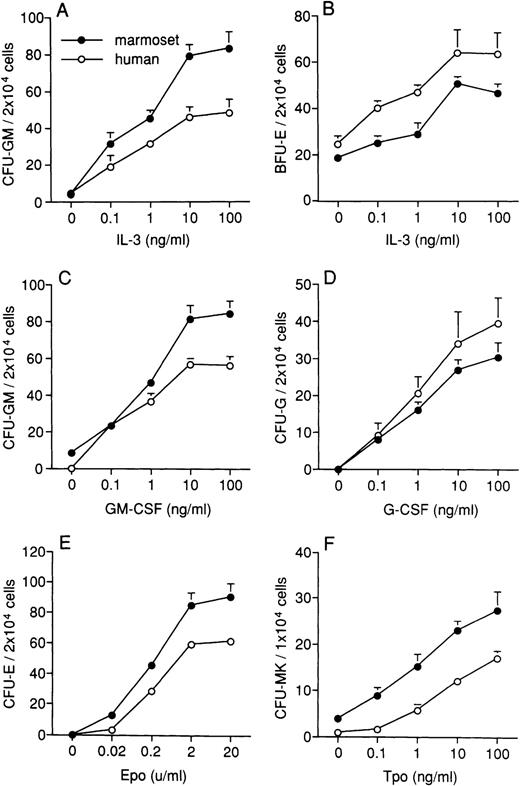 Fig. 2. Effects of human cytokines on colony formation of marmoset (•) and human (○) BMPCs. The effects of IL-3 on CFU-GM (A) and BFU-E (B) formation in the presence of 2 U/mL Epo, GM-CSF on CFU-GM formation (C), G-CSF on CFU-G formation (D), and Epo on CFU-E formation in the presence of 10 ng/mL IL-3 (E) were examined in serum-free cultures. The effects of Tpo were assessed using human platelet-poor plasma (F). The human cytokines effectively stimulated colony formation dose-dependently. The response patterns of BMPCs to human cytokines was similar in marmosets and humans. Data are expressed as the mean ± standard error of mean (SEM) from three separate triplicate experiments.