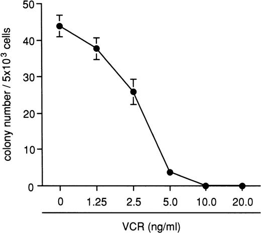 Fig. 4. Inhibitory effects of VCR on the colony formation from normal marmoset bone marrow MNCs. A total of 10 ng/mL of VCR completely inhibited colony formation. The data shown here were obtained from four different animal experiments and are expressed as the mean ± SEM.