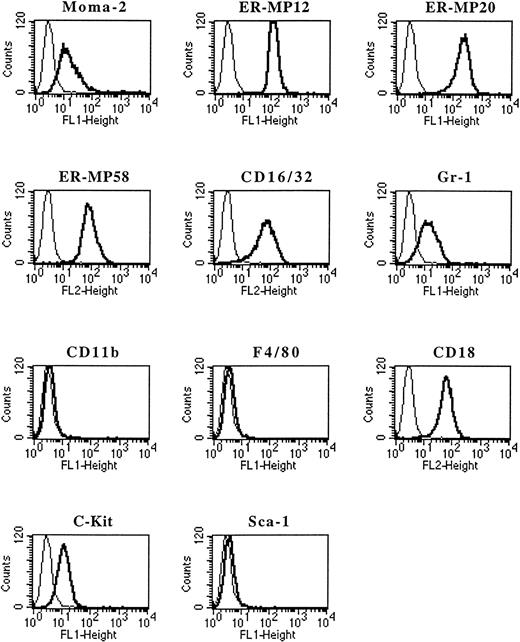 Fig. 3. Antigen marker analysis of a GM-dependent PU.1−/− myeloid cell line. PU.1−/− fetal liver cultures were set up with GM-CSF. GM-dependent myeloid cells that grew from these cultures were cloned. One of the clones, GM-pu4, was analyzed by flow cytometry for the expression of various markers. Cells were incubated with either unconjugated (ER-MP12, ER-MP20, and ER-MP58), FITC-conjugated (Moma-2, Gr-1, CD11b, F4/80, c-Kit, and Sca-1), or PE-conjugated (CD18 and CD16/32) antibodies. FITC- or PE-conjugated secondary antibody was used to detect ER-MP12, ER-MP20, or ER-MP58. The light tracings on the histogram plots show background staining using isotype control antibodies.