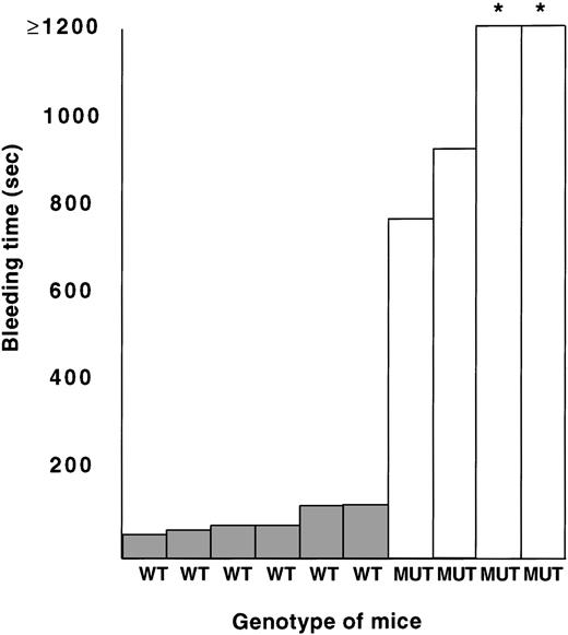 Fig. 6. Bleeding times obtained from 6 normal (WT) and 4 ▵neo▵HS (MUT) adult mice. *Bleeding times >1,200 seconds.