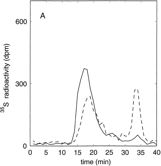Fig. 1. Size exclusion chromatography of proteoglycans from the supernatant (A) and cell extract (B) of the immature erythroid progenitor cell line HEL. Proteoglycans isolated by anion exchange chromatography were submitted to size exclusion chromatography on a TSK 4000 column. Elution profiles for the proteoglycans from the supernatant (A) and cell extract (B) are shown for the native (——) and HNO2-treated (- - -) samples. Elution profiles were monitored by liquid scintillation counting.