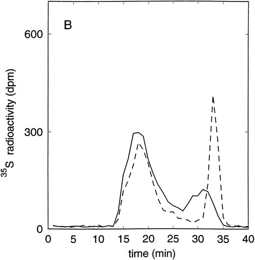 Fig. 1. Size exclusion chromatography of proteoglycans from the supernatant (A) and cell extract (B) of the immature erythroid progenitor cell line HEL. Proteoglycans isolated by anion exchange chromatography were submitted to size exclusion chromatography on a TSK 4000 column. Elution profiles for the proteoglycans from the supernatant (A) and cell extract (B) are shown for the native (——) and HNO2-treated (- - -) samples. Elution profiles were monitored by liquid scintillation counting.
