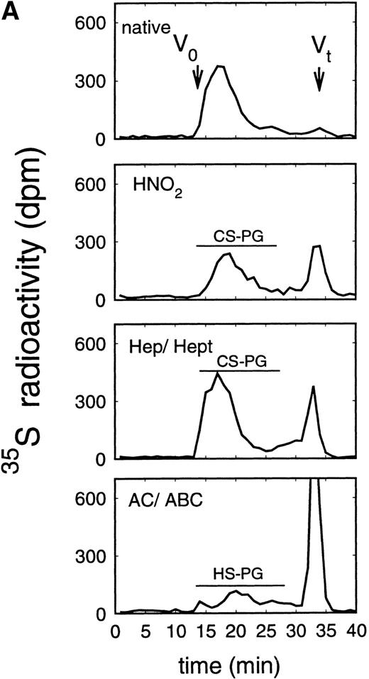 Fig. 2. Size exclusion chromatography of proteoglycans after digestion with glycosaminoglycan-specific enzymes from the supernatant (A) and cell extract (B) of the immature erythroid progenitor cell line HEL. Proteoglycans isolated by anion exchange chromatography from the supernatant (A) and cell extract (B) of HEL cells were submitted to size exclusion chromatography on a TSK 4000 column. Elution profiles are shown for the native, HNO2-treated, heparinase/heparitinase (Hep/Hept), and chondroitinase AC/ABC-treated (AC/ABC) samples. Elution profiles were monitored by liquid scintillation counting.
