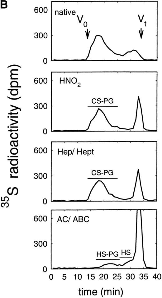 Fig. 2. Size exclusion chromatography of proteoglycans after digestion with glycosaminoglycan-specific enzymes from the supernatant (A) and cell extract (B) of the immature erythroid progenitor cell line HEL. Proteoglycans isolated by anion exchange chromatography from the supernatant (A) and cell extract (B) of HEL cells were submitted to size exclusion chromatography on a TSK 4000 column. Elution profiles are shown for the native, HNO2-treated, heparinase/heparitinase (Hep/Hept), and chondroitinase AC/ABC-treated (AC/ABC) samples. Elution profiles were monitored by liquid scintillation counting.
