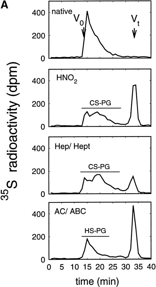Fig. 3. Size exclusion chromatography of proteoglycans from the supernatant (A) and cell extract (B) of the murine erythroid progenitor cell line ELM-D. Proteoglycans isolated by anion exchange chromatography from the supernatant (A) and cell extract (B) of ELM-D cells were submitted to size exclusion chromatography on a TSK 4000 column. Elution profiles are shown for the native, HNO2-treated, heparinase/heparitinase (Hep/Hept), and chondroitinase AC/ABC-treated (AC/ABC) samples. Elution profiles were monitored by liquid scintillation counting.