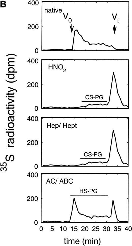 Fig. 3. Size exclusion chromatography of proteoglycans from the supernatant (A) and cell extract (B) of the murine erythroid progenitor cell line ELM-D. Proteoglycans isolated by anion exchange chromatography from the supernatant (A) and cell extract (B) of ELM-D cells were submitted to size exclusion chromatography on a TSK 4000 column. Elution profiles are shown for the native, HNO2-treated, heparinase/heparitinase (Hep/Hept), and chondroitinase AC/ABC-treated (AC/ABC) samples. Elution profiles were monitored by liquid scintillation counting.