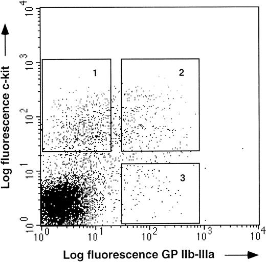 Fig. 4. c-kit and GPIIb-IIIa expression on E14 bone marrow cells. E14 bone marrow cells staining with anti c-kitand antiGPIIb-IIIa MoAbs. Three populations, GPIIb-IIIa−c-kit+ (1), GPIIb-IIIa+c-kit+ (2), and GPIIb-IIIa+c-kit− (3), were sorted by FACS, for functional analysis (see Table 1).