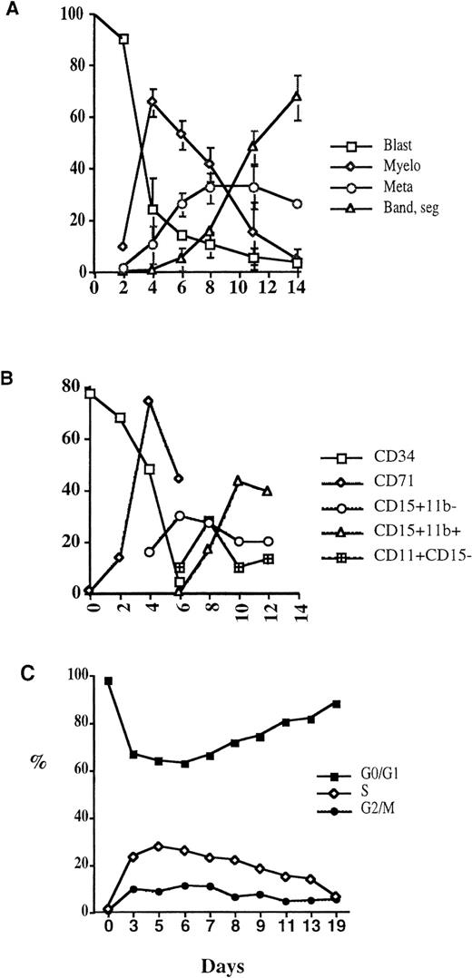 Fig. 1. (A) Differentiation of CD34+ cells in StemPro culture medium. Morphology of cells stimulated to differentiate into granulocytes by kit ligand, interleukin-3 (IL-3), and granulocyte-colony-stimulating factor (G-CSF) in StemPro serum-free medium. (B) Surface marker expression by CD34+ cells differentiating under culture conditions. (C) Cell-cycle distribution of differentiating CD34+ cells overtime determined by propidium iodide staining.